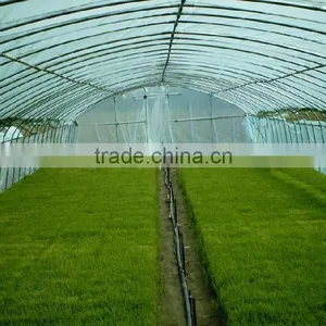 Modern Plastic Film Greenhouse With Steel Skeleton and Hot Drip Galvanized Bolt for Vegetable and Flower Grow for Hot Sale thumbnail-2