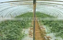Transparent Agricultural PE/LDPE/LLDPE Film thumbnail-1
