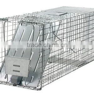 32-Inch Live Animal Cage Trap thumbnail-1