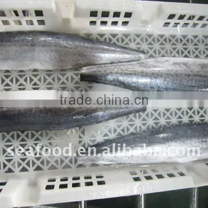 IQF Spanish Mackerel Fillets A,B Grade thumbnail-1