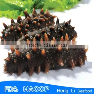 China Supplier Food Salted Sea Cucumber thumbnail-6