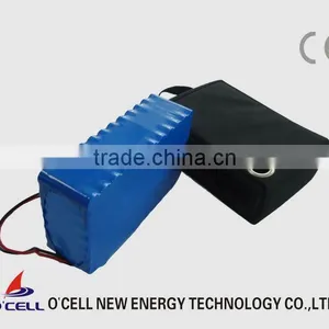 48V20AH Rechargeable Battery Pack for E-golfcart, Solar Energy... thumbnail-1