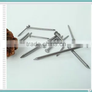 Wire Brad Nails thumbnail-2