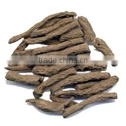 Standard Quality Dried Black Musli thumbnail-3
