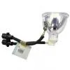 Bare SHP 69 Projector Lamp thumbnail-1