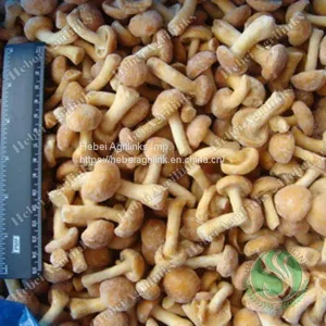 Frozen Nameko thumbnail-1