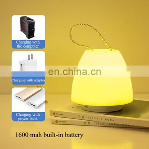Wireless Remote Portable Mood Night Light Brightness Adjustable Led Hand Lamp Small Desk Lamp thumbnail-5