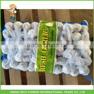 New Crop Cold Storage Pure White Garlic Price thumbnail-1