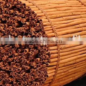 Premium Ceylon Cinnamon for Bulk Export thumbnail-1