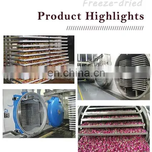 Lyophilizer 200 Square Freeze Drying Machine Sublimation Condensation Dryer Vacuum Lyophilizer Price thumbnail-5