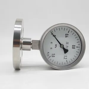 Stainless Steel Diaphragm Pressure Gauge With Shock Resistant Flange DN25 Pressure Gauge thumbnail-3