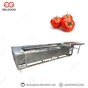 High Efficiency Small Capacity Blueberry Lychees Tomatoes Blueberries Date Palm Sorter Sorting Grading Machine thumbnail-3