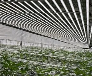 Indoor Growing-enhanced Efficacy Hassle-free Inter-locking Led Grow Module for Plant Indoor Growing thumbnail-5