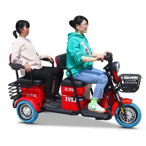 Electric Tricycle 60v 800w Bike Other Motorized Cargo Trike 3 Wheel Family Child Bike Prices Motorcycle Holland Adult thumbnail-4