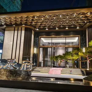 Curtain Wall Aluminum Single Plate Punching Carving Exterior Wall Fluorocarbon Paint Ceiling Decoration Manufacturer Custom Modeling thumbnail-1