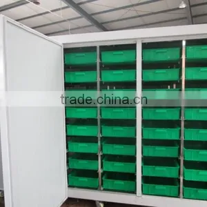 Automatic Livestock Feeding System / Hydroppnic Fodder Sprouting Machine From China thumbnail-4