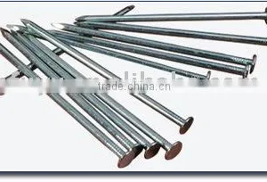 Polished Common Iron Nails thumbnail-1