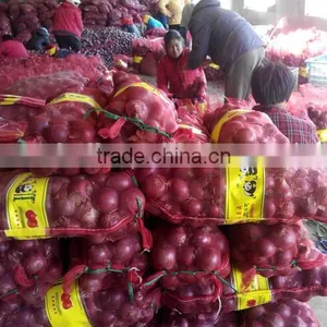 2016 New Crops Red Onion thumbnail-4