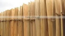 Eucalyptus Veneer thumbnail-2