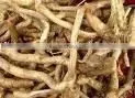 Best Quality Horseradish Powder thumbnail-1
