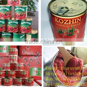 Seal 850g Canned Tomato Paste or Ketchup thumbnail-1