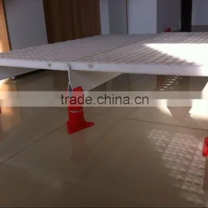 Plastic Slats Flooring for Poultry Farms, Poultry Farming Equipment (Professional Manufacturer) thumbnail-3