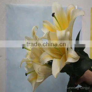 Wholesale High Quality Fresh Lily Flower Water Lilies Flowers From Kunming Qingyi thumbnail-6