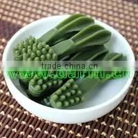 Dog Snacks Dental Injection Moulding Machinery thumbnail-2