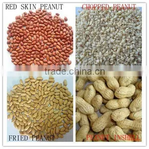 New Crop Red Skin Peanut Kernels thumbnail-1