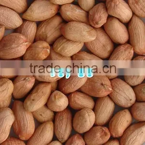2014 Peanut Kernels 38/42, 40/50, 50/60, 60/70, 70/80, 80/100, Chinese Runner Peanuts thumbnail-2