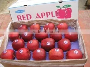 Red Delicious Apple/huaniu Apple 2015 Crop thumbnail-1