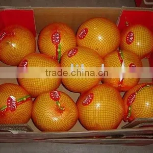Fresh Sweet Pomelo From China thumbnail-1