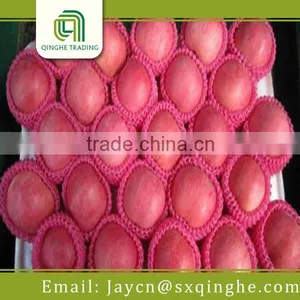 China Best Market Price Fuji Apple thumbnail-4