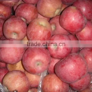 Fresh Qinguan Apple thumbnail-3