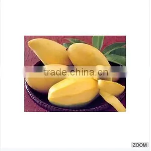 Fresh Mango (Ripe Mango) thumbnail-1