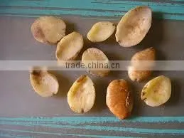 Irvingia Gabonensis Seeds thumbnail-2