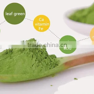 USDA Certified Health Natural Food Color Organic Matcha Green Tea Powder thumbnail-4