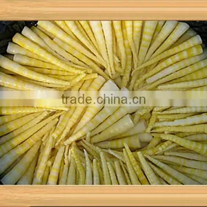 Wholesale Organic Brined Bamboo Shoot thumbnail-2