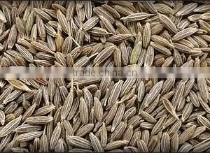 Cumin Seeds thumbnail-1