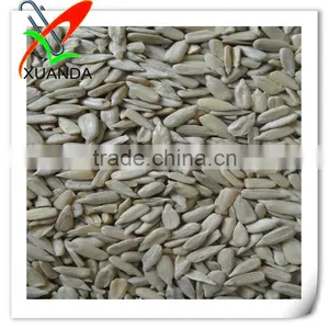 Confectionary Grade Sunflower Kernels for Baking and Roasted 2014 Crop thumbnail-1