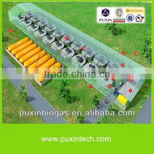 Livestock Farm Biogas System thumbnail-1