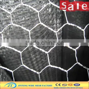 Chicken Coop Hexagonal Wire Mesh thumbnail-4