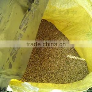 Crawler Type Small Grain Harvester thumbnail-6