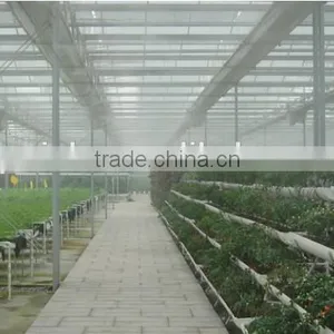 China Factory Greenhouses Structure With Hydroponic System thumbnail-1
