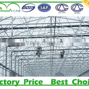 Multi-Span Commercial Glass Greenhouse thumbnail-5