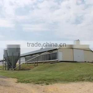 China DFX Cheap Poultry Farming Prefabricated Industrial Chicken House thumbnail-3