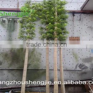 SJLJ013495 Artificial Tree and Plant Decorative Artificial Bamboo thumbnail-4