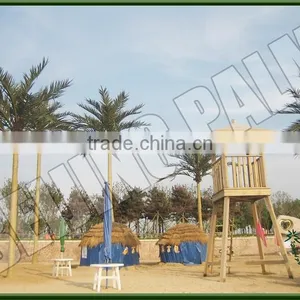 Decoration Home Dry Coconur Palm Tree For Decoration Decorative Artificial Plant thumbnail-1