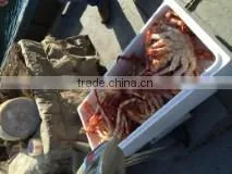 Frozen Cooked King Crab thumbnail-5
