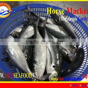 FRESH RAM MATERIALS W/R HORSE MACKEREL thumbnail-1